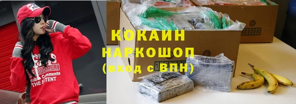PSILOCYBIN Заволжье