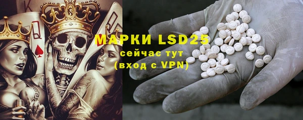 PSILOCYBIN Заволжье