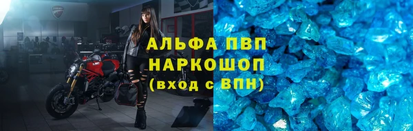 PSILOCYBIN Заволжье