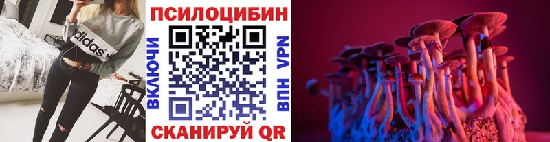 ОМГ ОМГ ссылки  Чапаевск  Псилоцибиновые грибы прущие грибы 