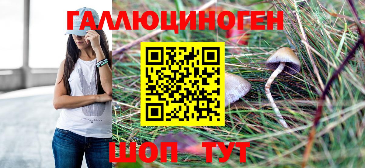 Псилоцибиновые грибы MAGIC MUSHROOMS  Вход с VPN  Чапаевск 