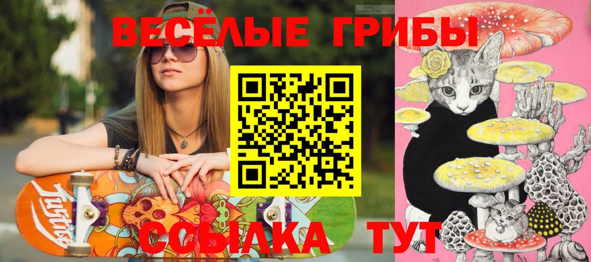 Галлюциногенные грибы мицелий Чапаевск